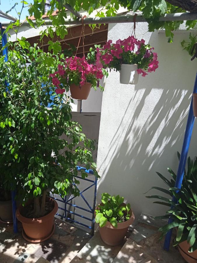 To Limanaki Appartement Finikounta Buitenkant foto